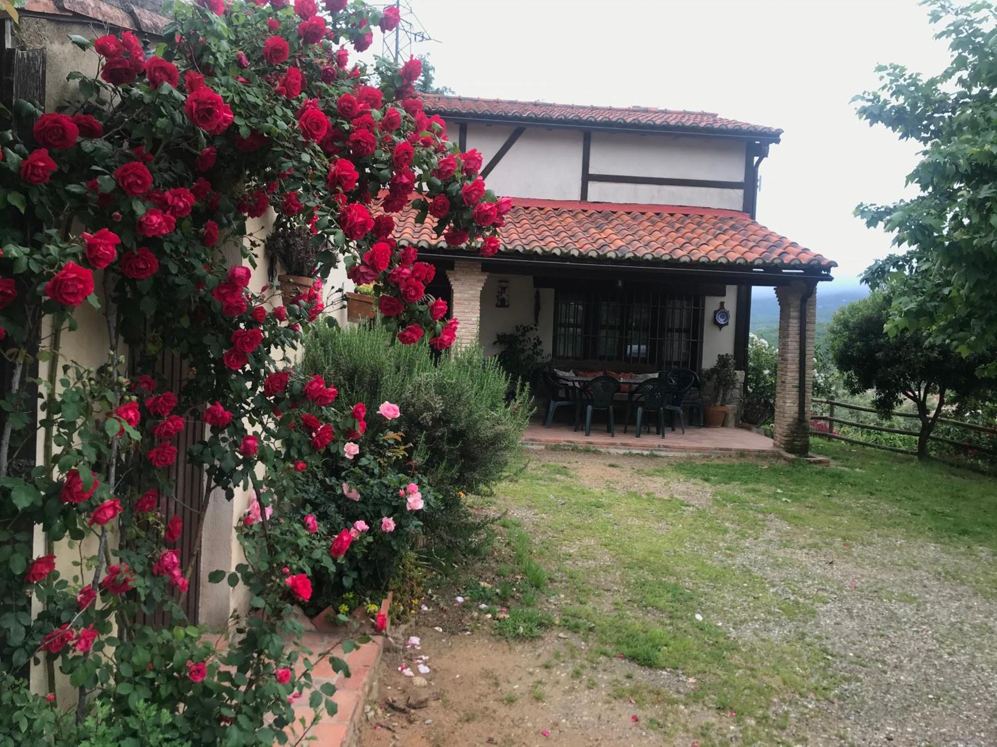 La Vina Villa Navaconcejo Exterior photo